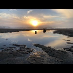 Meet your Posher, Jerrine